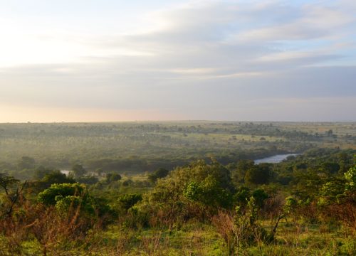 Nyota Mara Lodge Safari Kenya