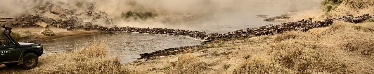 Safari Kenya tanzanie