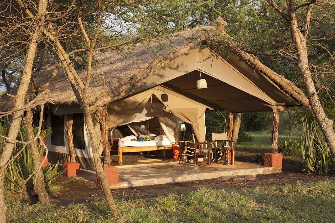 Ikoma Bush Camp
