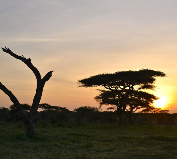 Couché de soleil