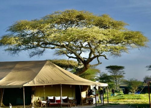 NDUTU WILDLANDS MOBILE CAMP