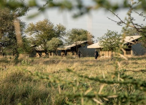 Ndutu Wildlands Mobile Camp