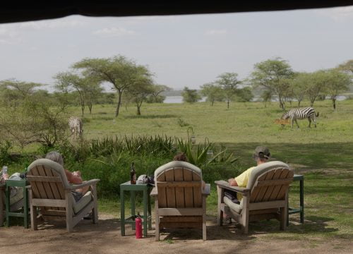 Ndutu safri lodge