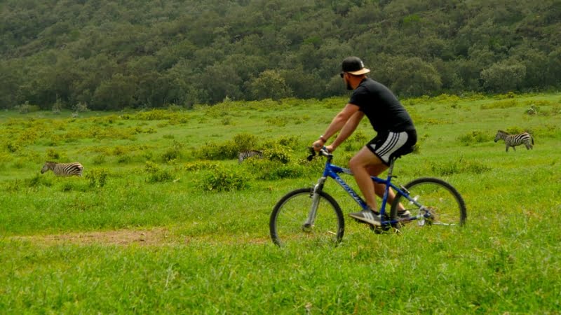 Safari en VTT