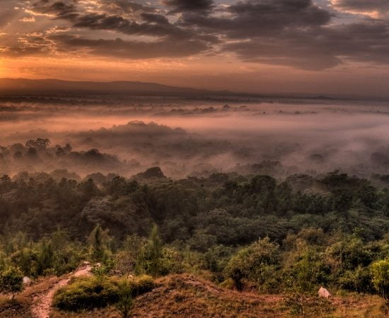 Parc National Nairobi