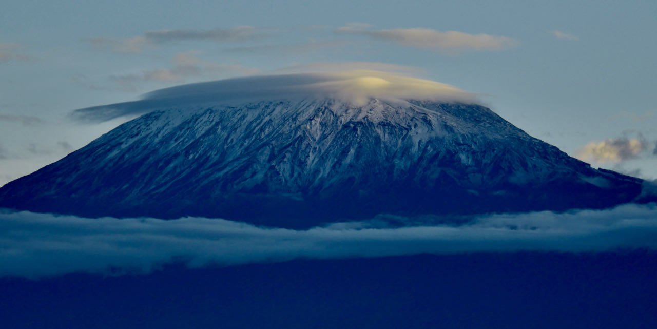 Safari Kilimandjaro