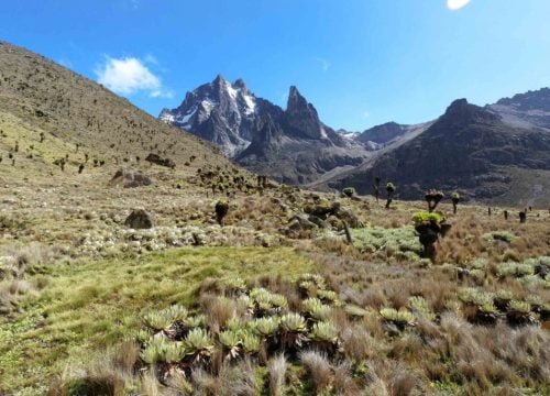 Mont Kenya Trek