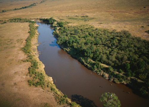 Rivière Mara