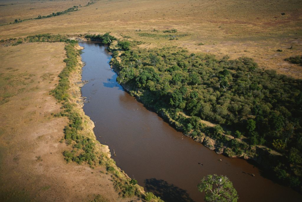 safari Rivière Mara