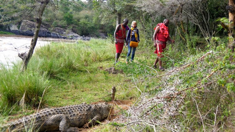 Safari à pied