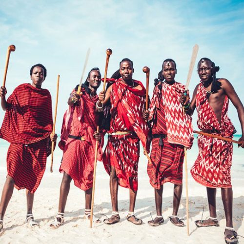 Safari en Terres Africaines et Plages de l'Océan indien