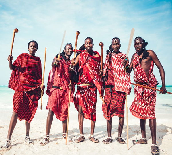 Safari en Terres Africaines et Plages de l'Océan indien