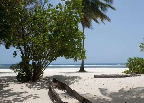 Plage de Tiwi